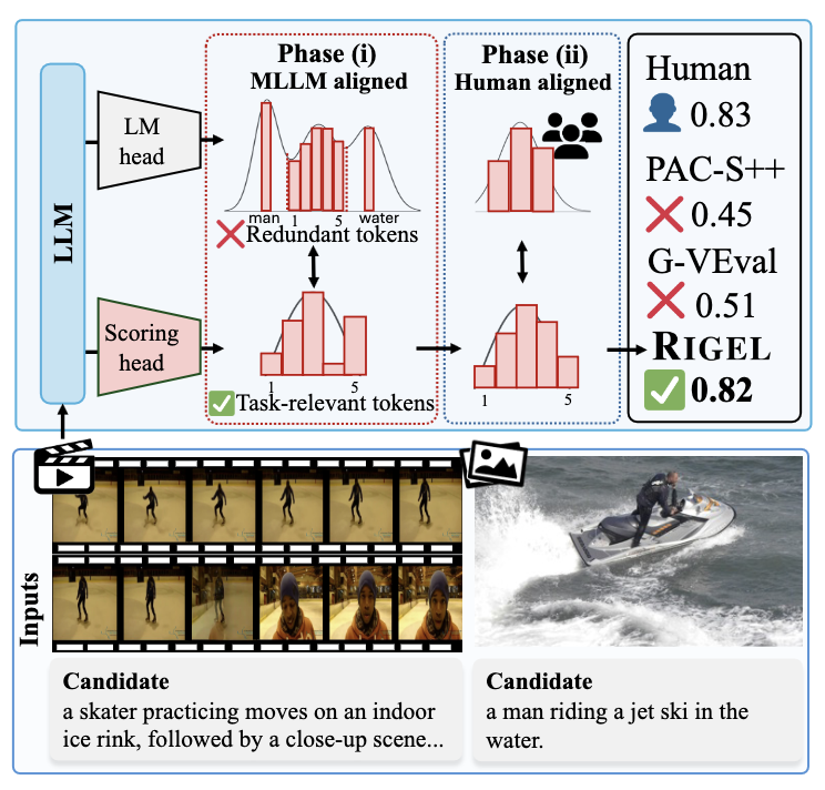 RIGEL: Self-Distilled Score Adaptation for Image and Video Captioning Evaluation 